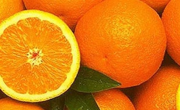 Portakal üreticilerine kilo başı 90 kuruş destek verilecek