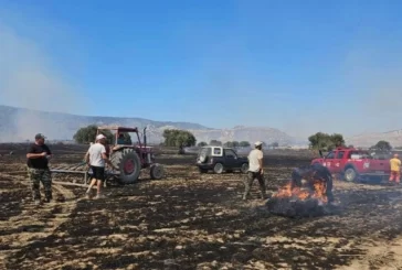 Çınarlı bölgesindeki yangında ağaçlar, biçilmemiş arpa, buğday, balya ve anızlar yandı